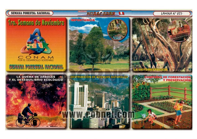 Semana Forestal Nacional